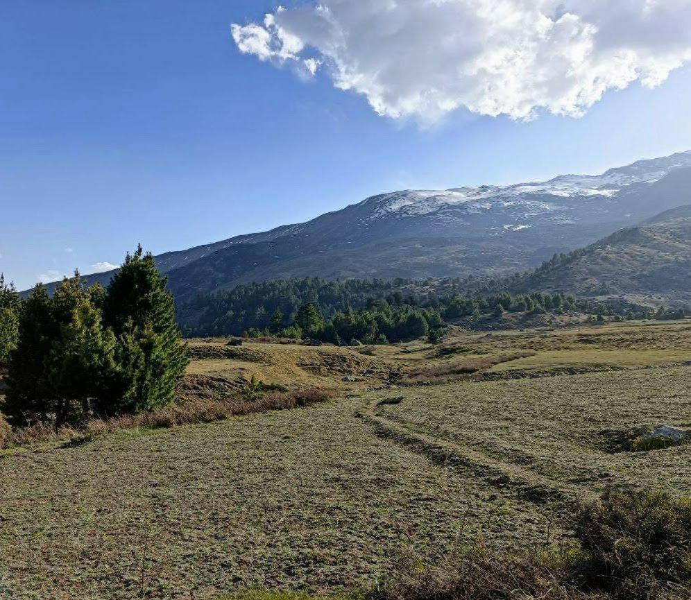 Fayul Retreat - India Highest Glamp And Ecoluxury Stay Kalpa Extérieur photo